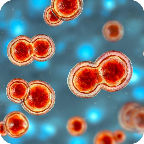 New study identifies priority fungal infections among patients with TB-like symptoms in The Gambia