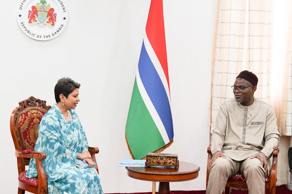 UNICEF Rep briefs VP on initiative seeking to digitalise schools